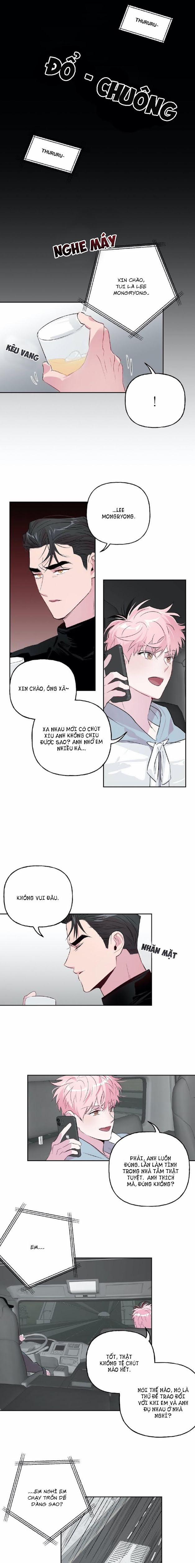 Assorted Wildness 22 trang 7