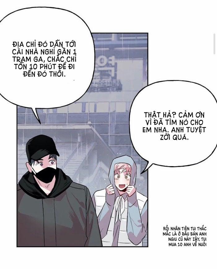 Assorted Wildness 23 trang 11