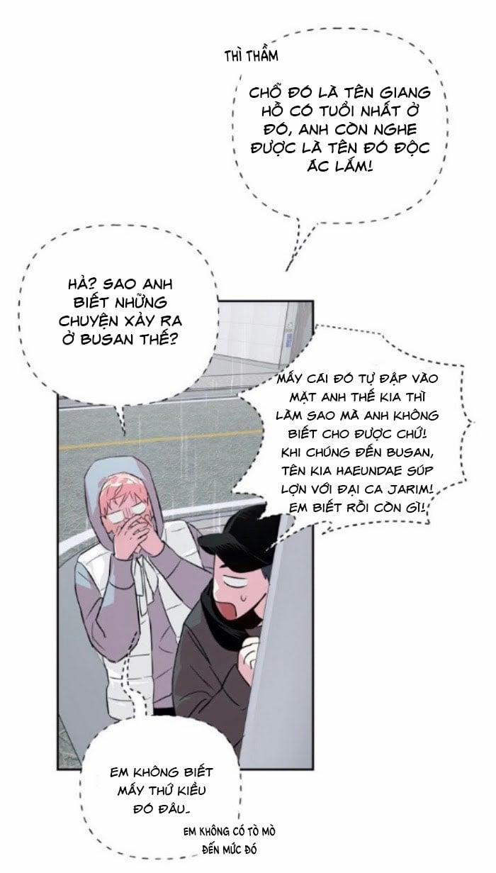 Assorted Wildness 23 trang 19