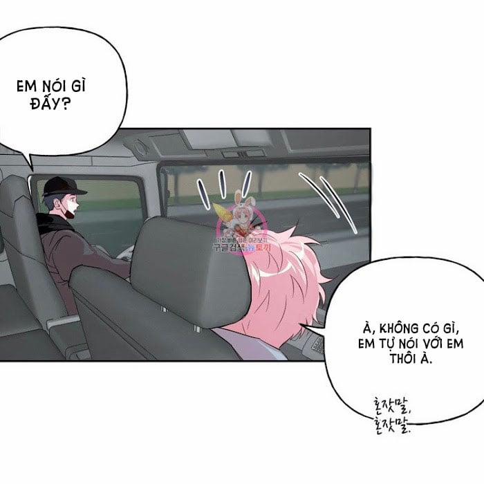 Assorted Wildness 23 trang 2