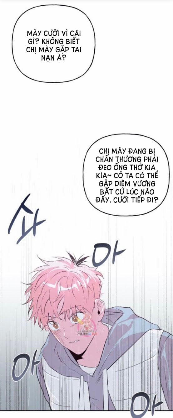 Assorted Wildness 23 trang 28