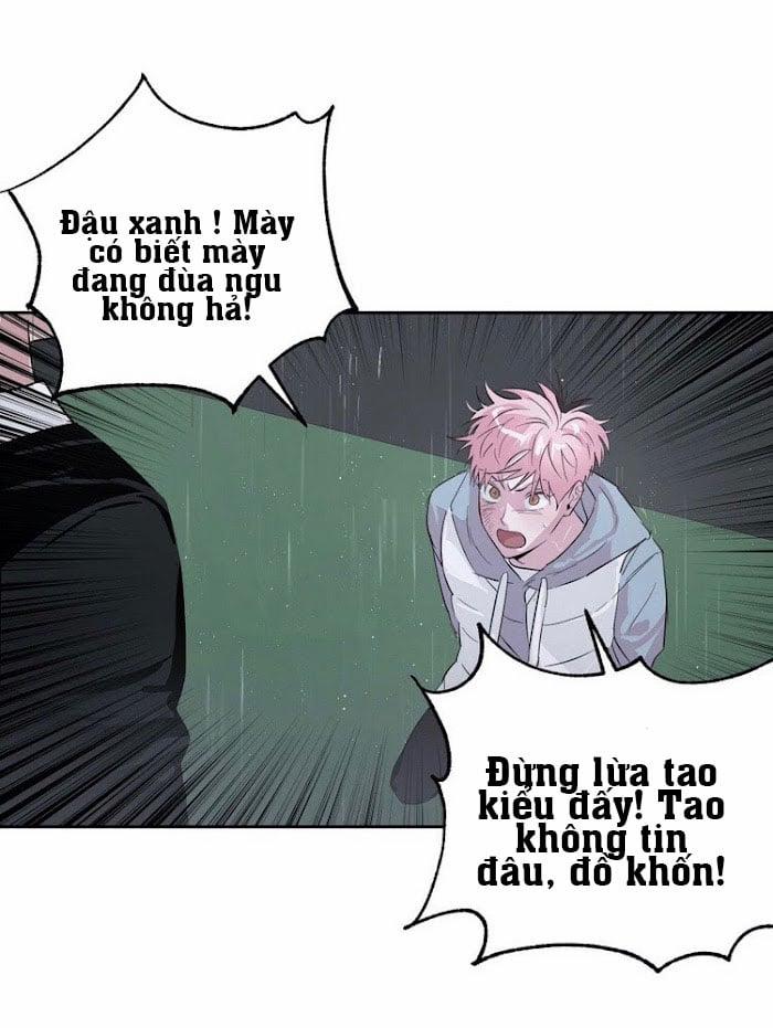 Assorted Wildness 23 trang 29