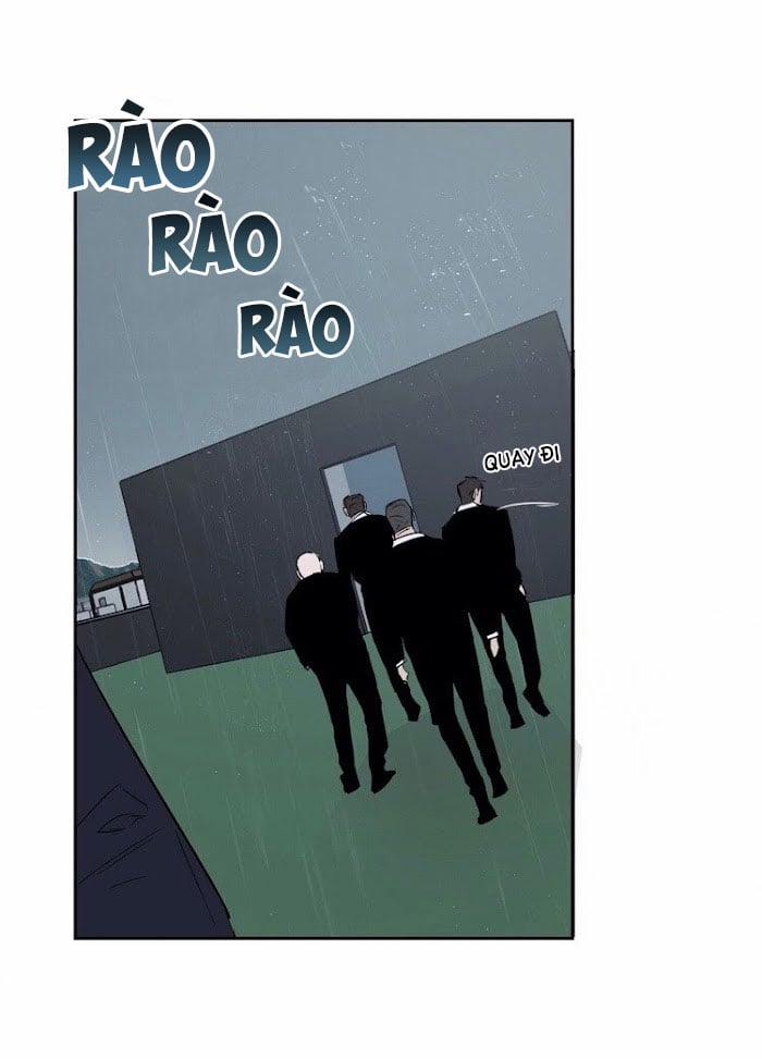 Assorted Wildness 23 trang 40