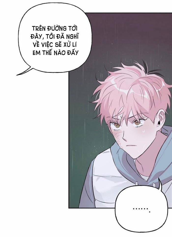 Assorted Wildness 23 trang 42