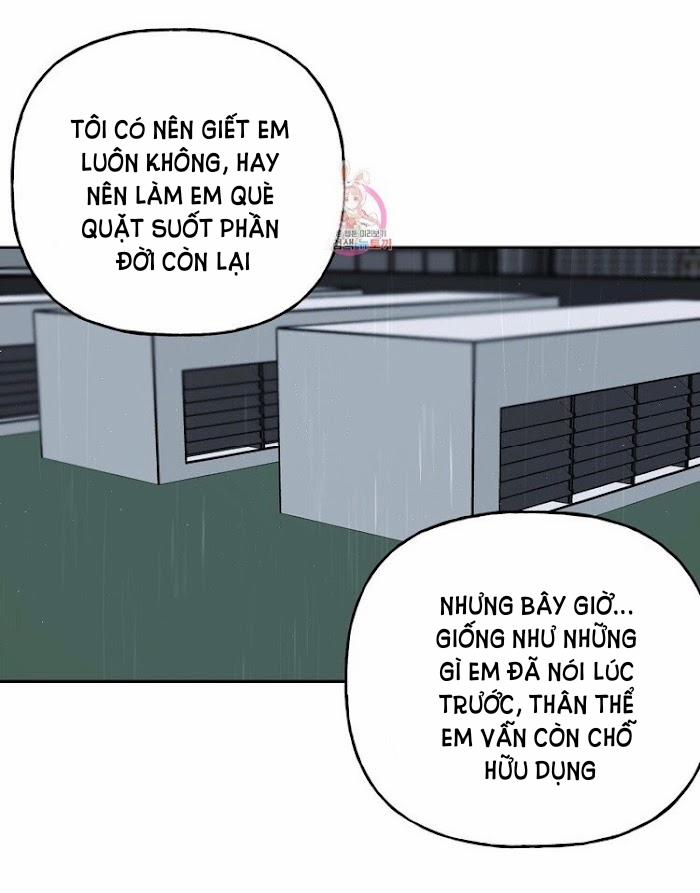 Assorted Wildness 23 trang 43