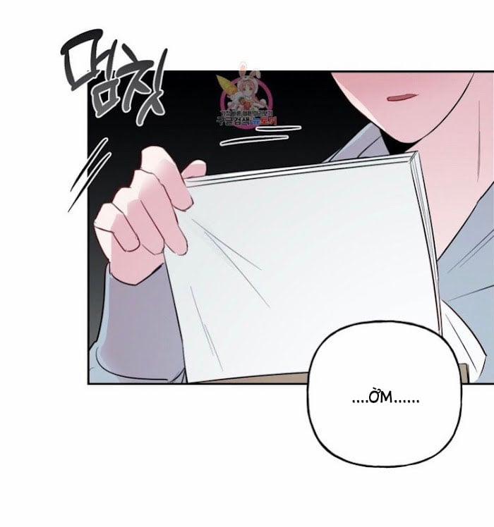 Assorted Wildness 23 trang 5