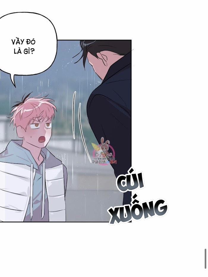 Assorted Wildness 23 trang 50