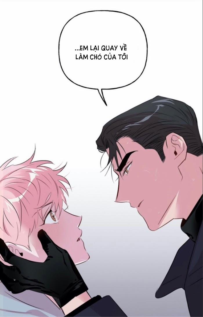 Assorted Wildness 23 trang 51