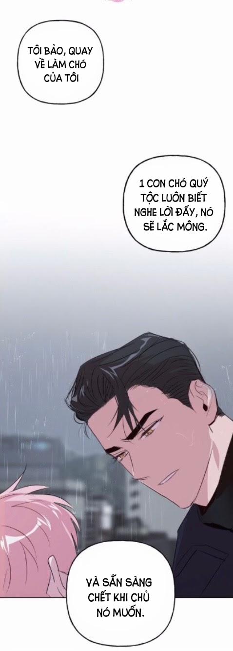 Assorted Wildness 23 trang 53