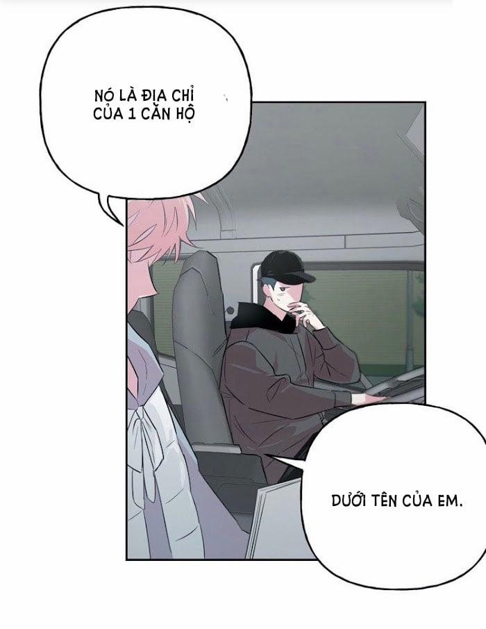 Assorted Wildness 23 trang 7