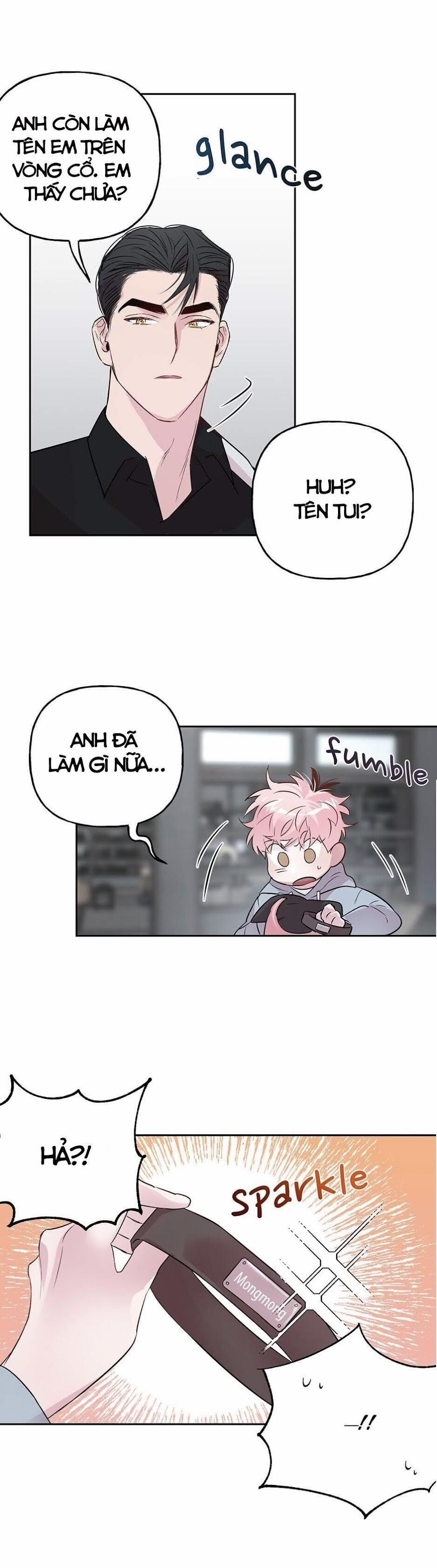 Assorted Wildness 24 trang 12