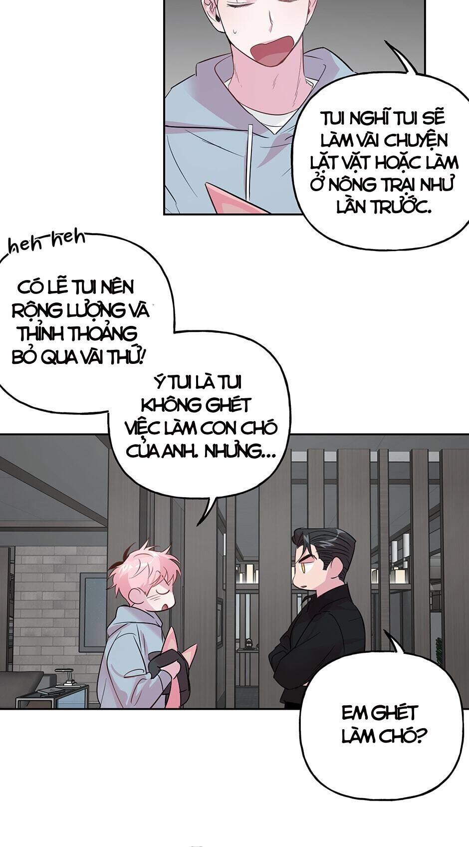 Assorted Wildness 24 trang 14