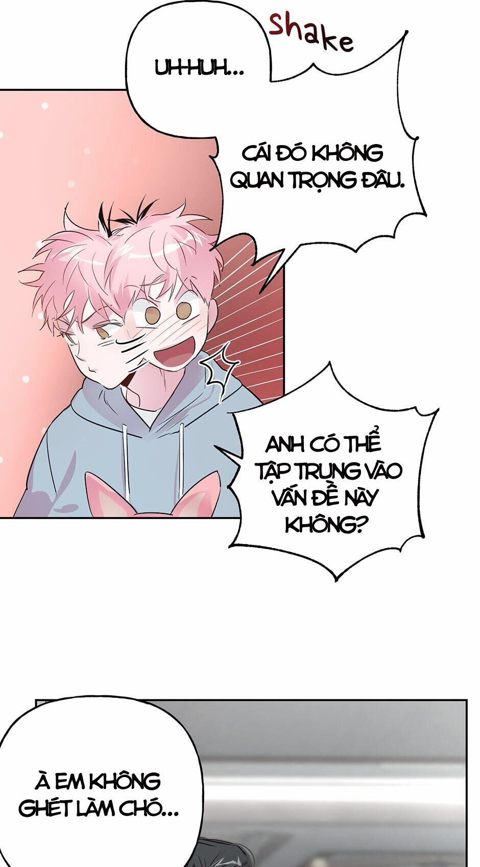 Assorted Wildness 24 trang 15