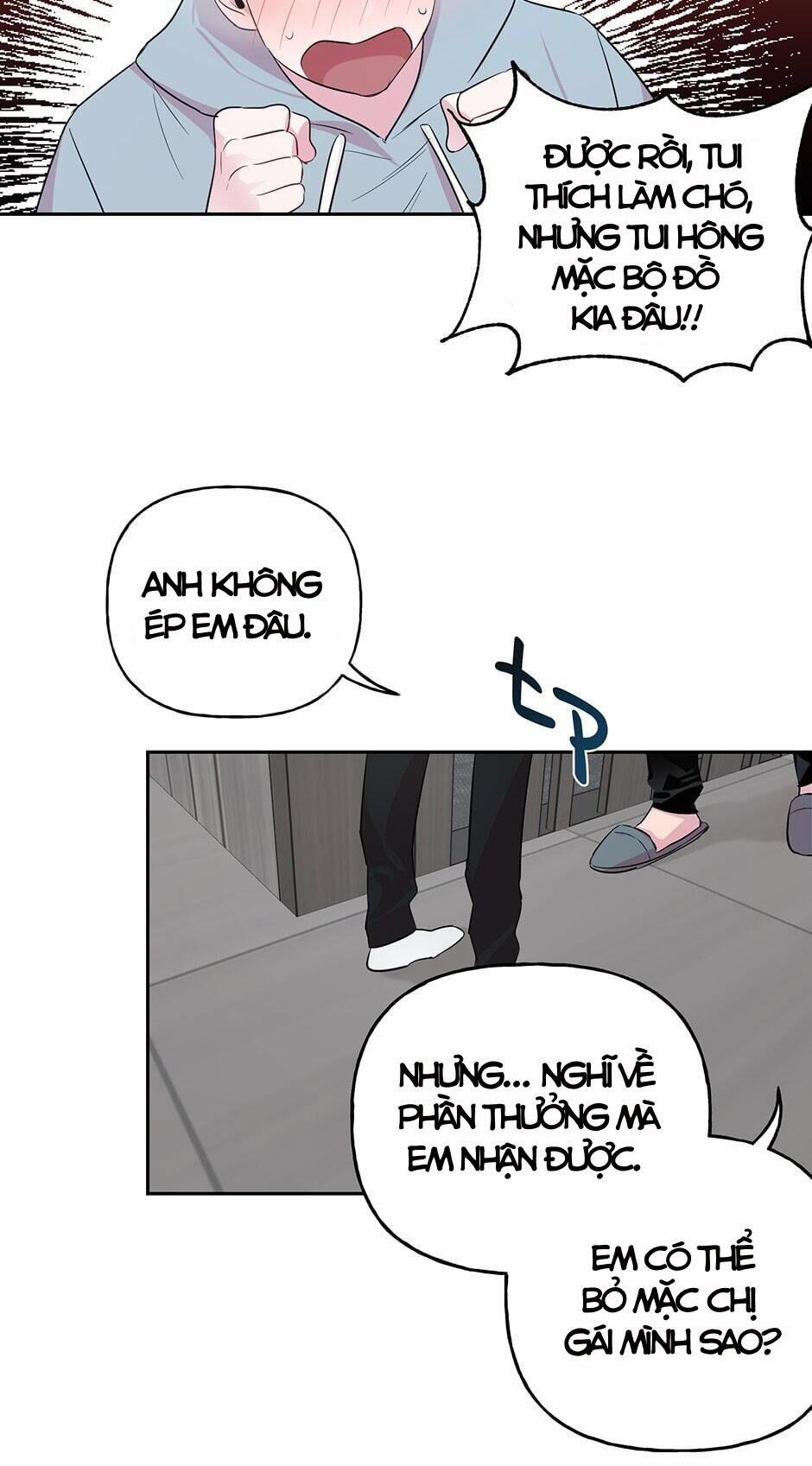 Assorted Wildness 24 trang 17