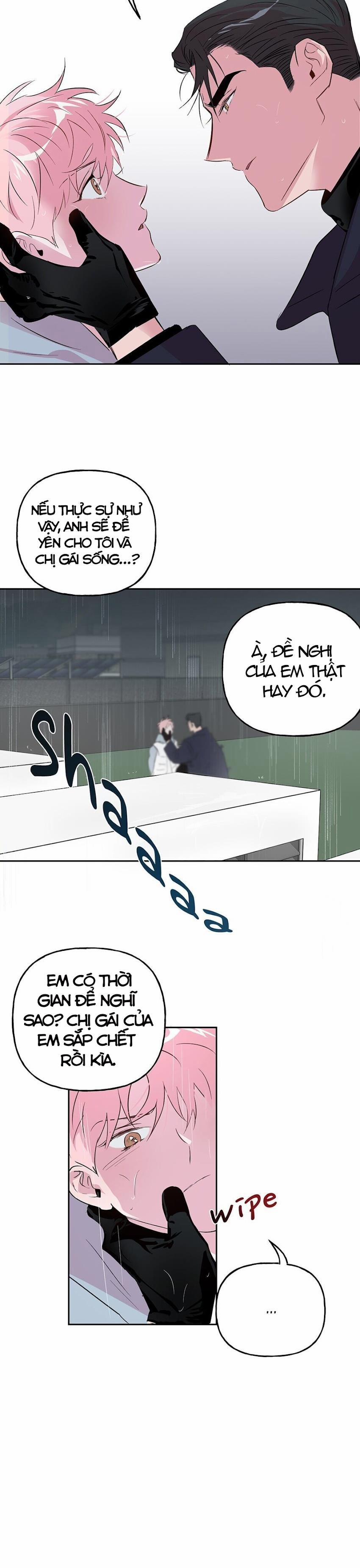 Assorted Wildness 24 trang 2