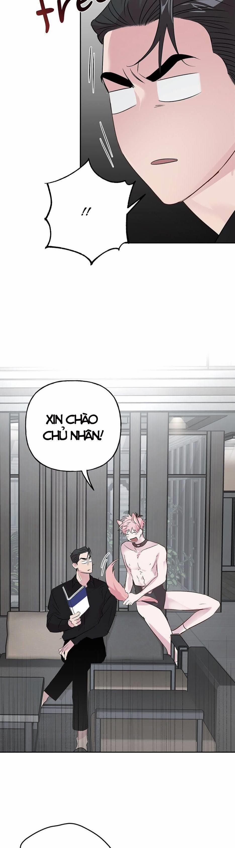 Assorted Wildness 24 trang 27