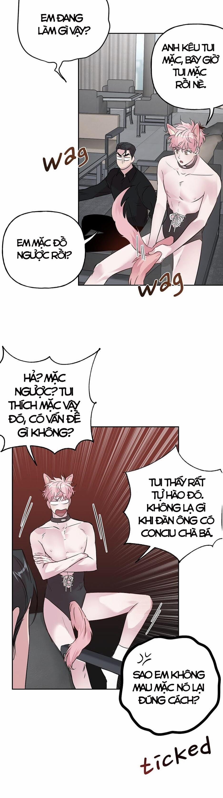 Assorted Wildness 24 trang 28