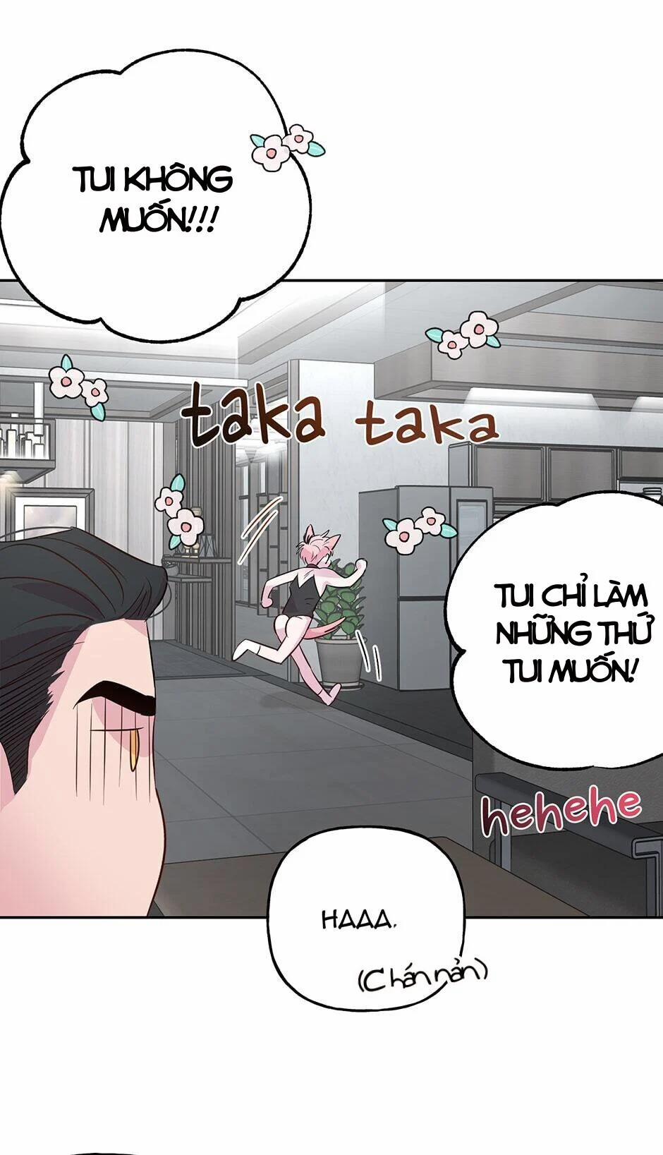 Assorted Wildness 24 trang 29