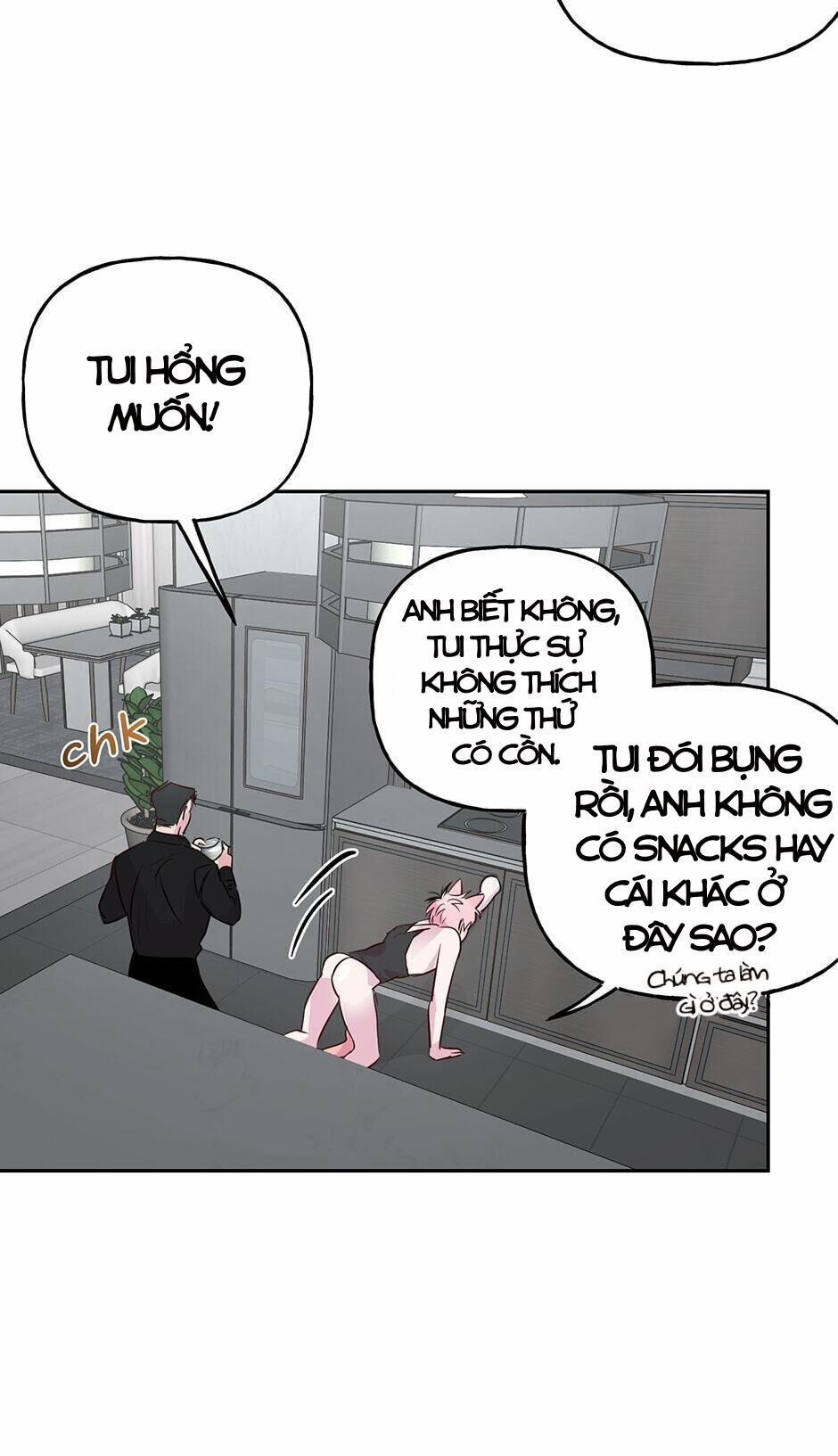 Assorted Wildness 24 trang 33