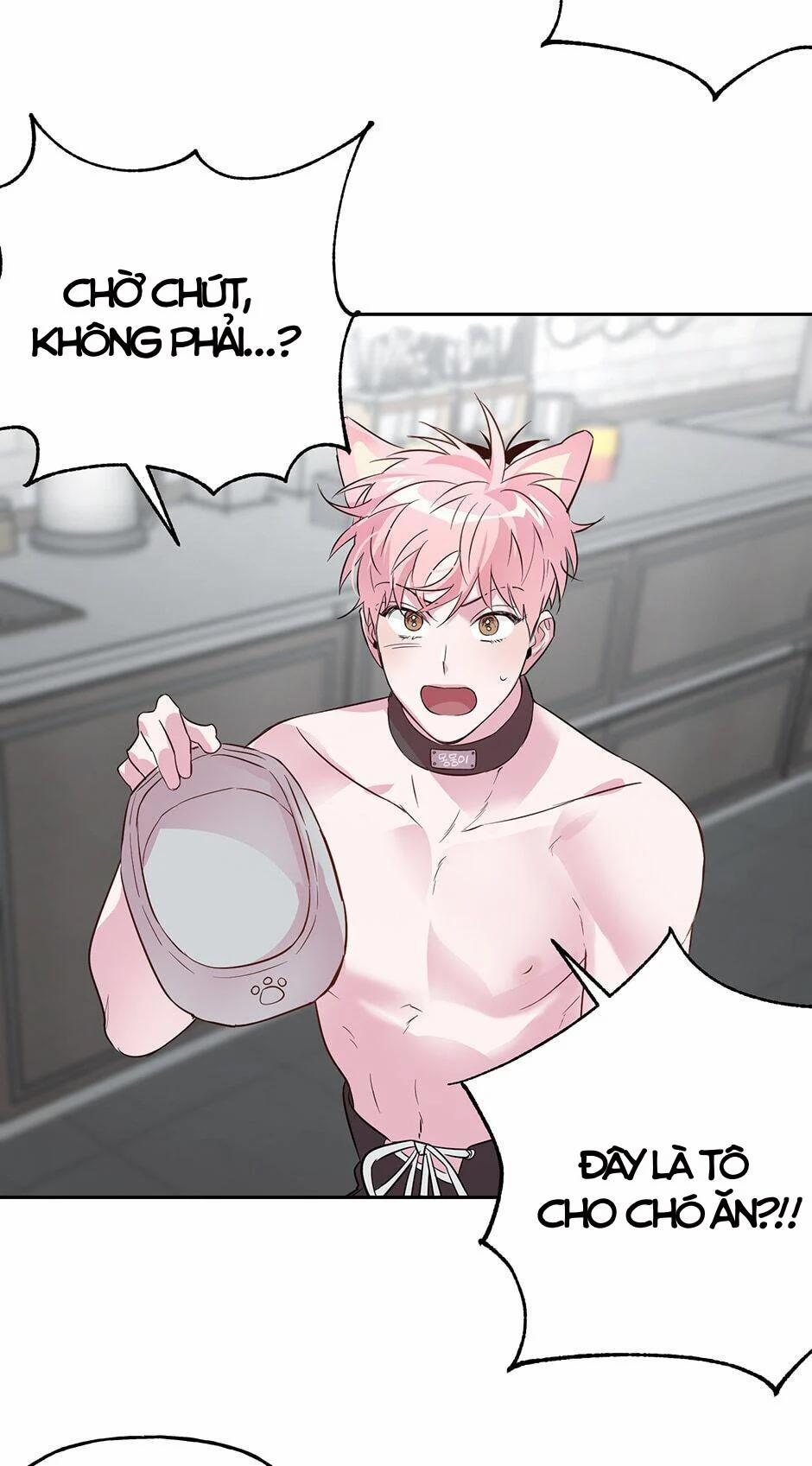 Assorted Wildness 24 trang 36