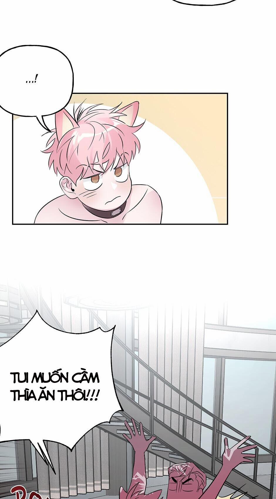 Assorted Wildness 24 trang 40