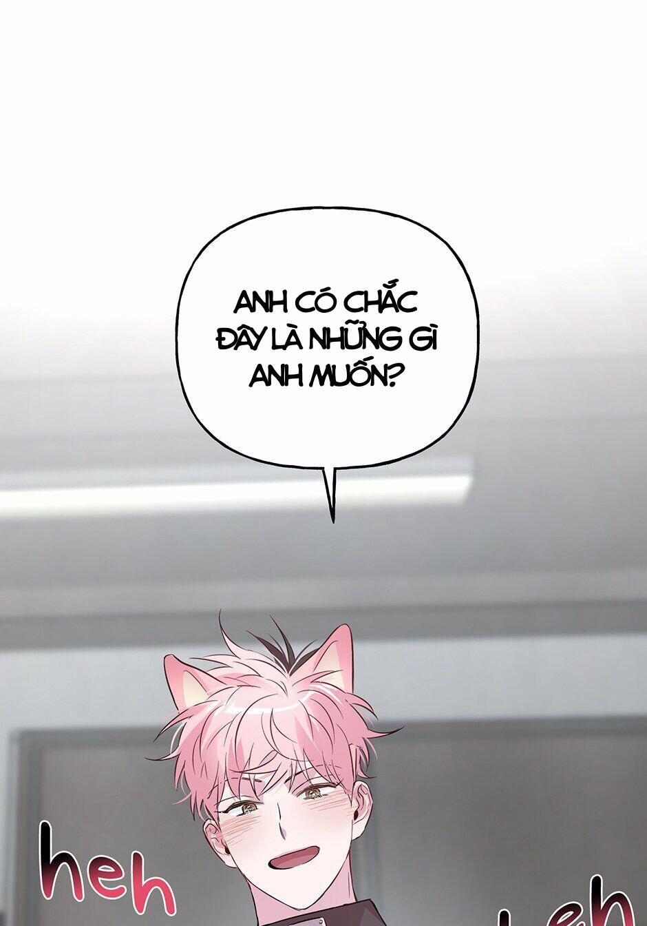 Assorted Wildness 24 trang 44