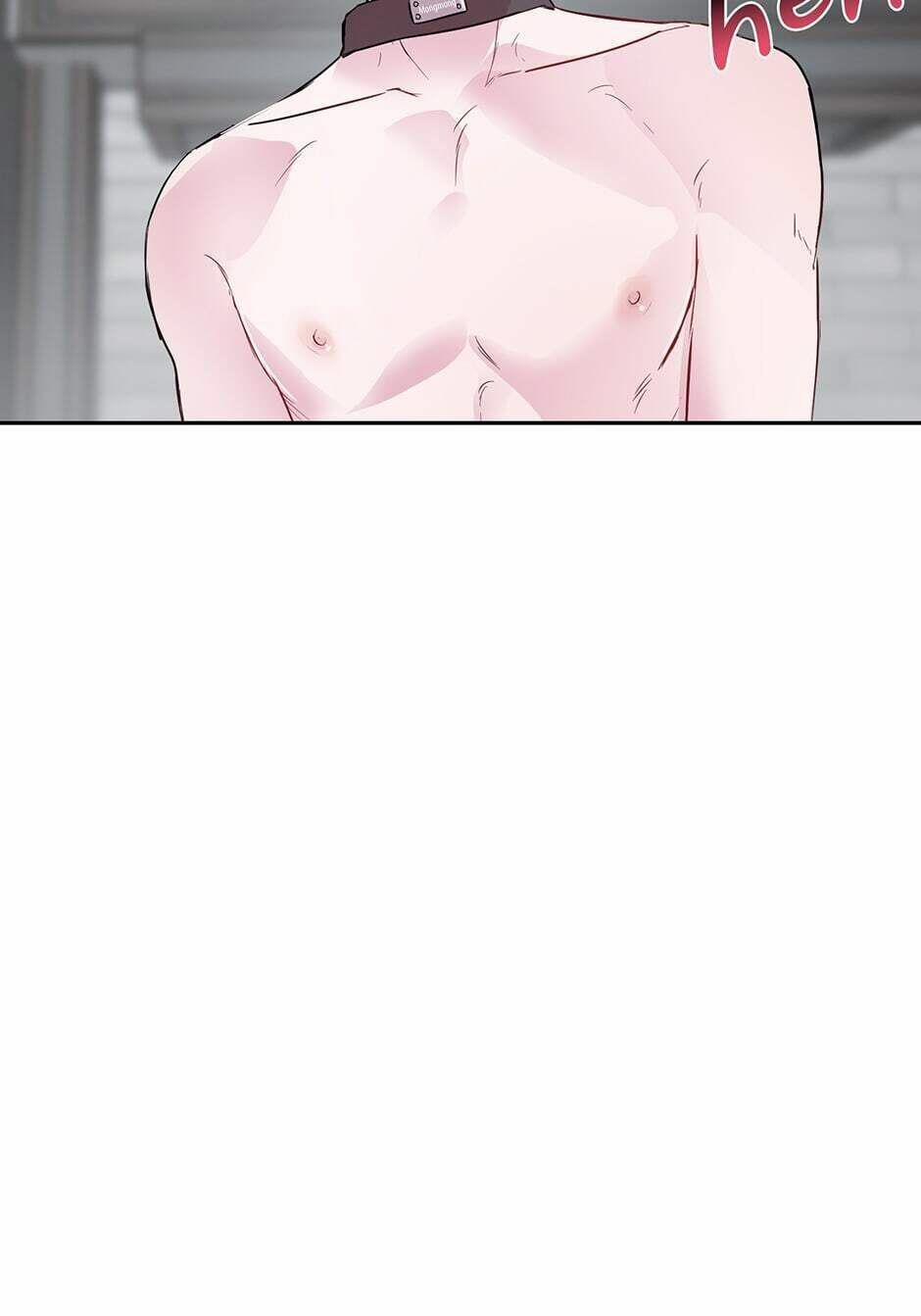 Assorted Wildness 24 trang 45