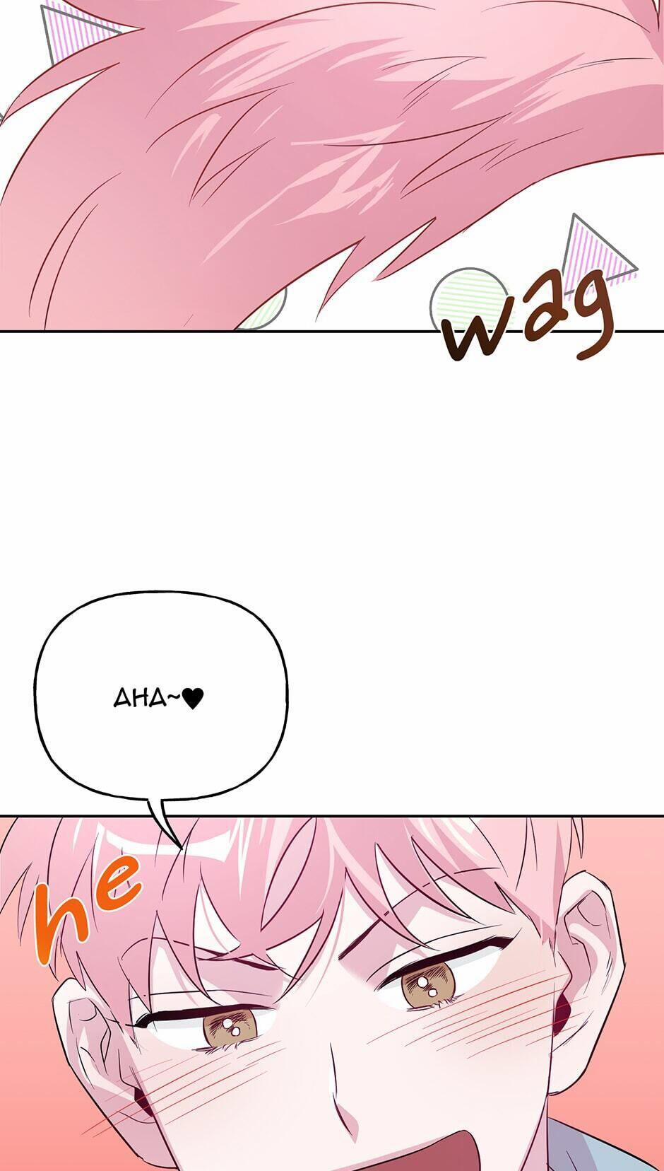 Assorted Wildness 24 trang 46