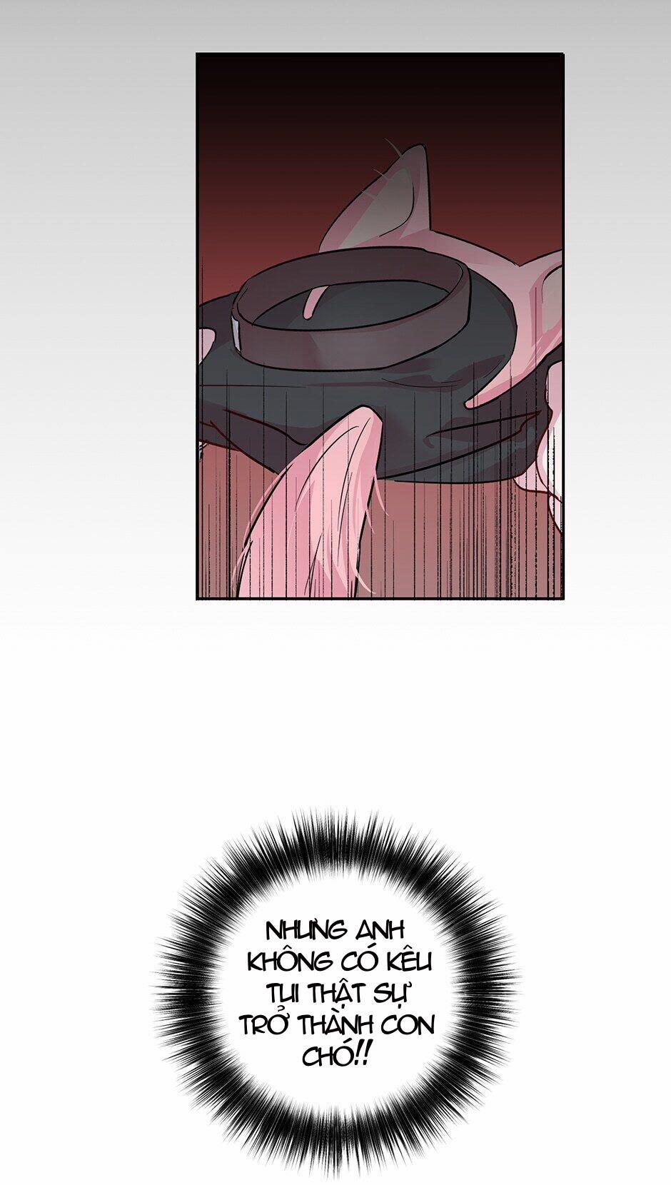 Assorted Wildness 24 trang 6