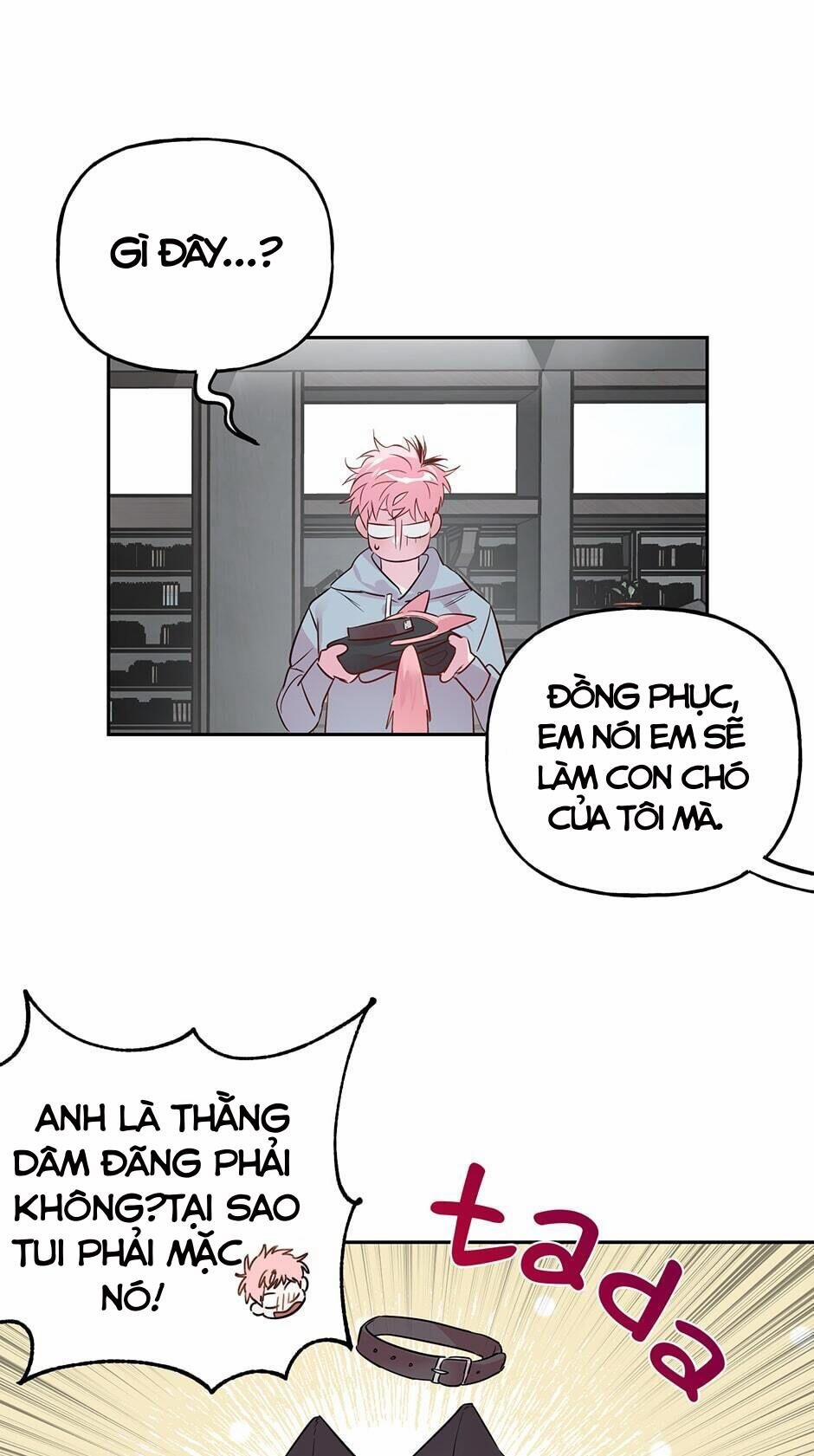 Assorted Wildness 24 trang 9