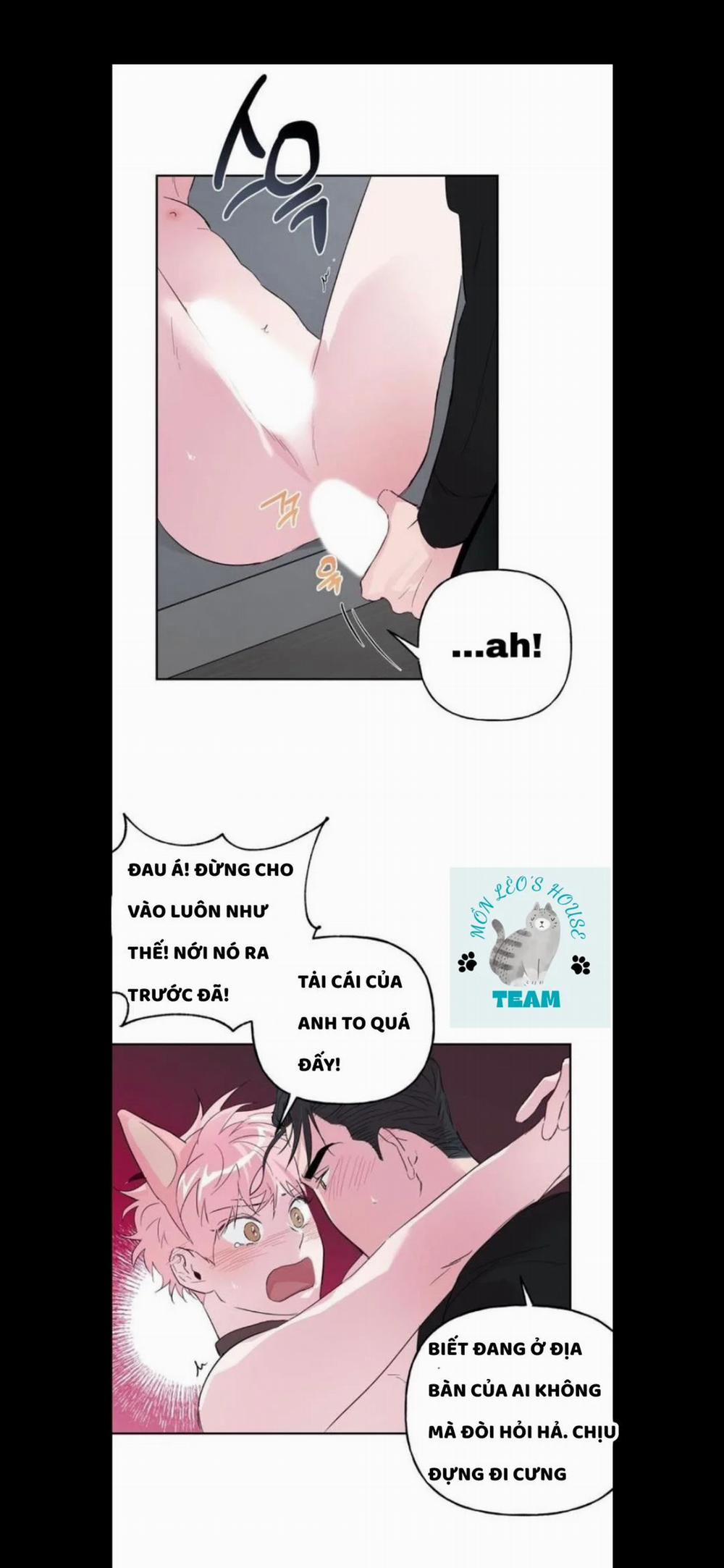 Assorted Wildness 25 trang 10