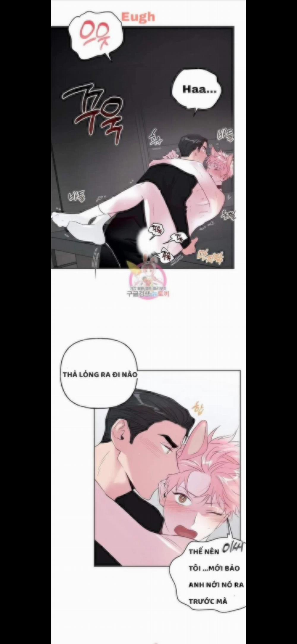 Assorted Wildness 25 trang 12