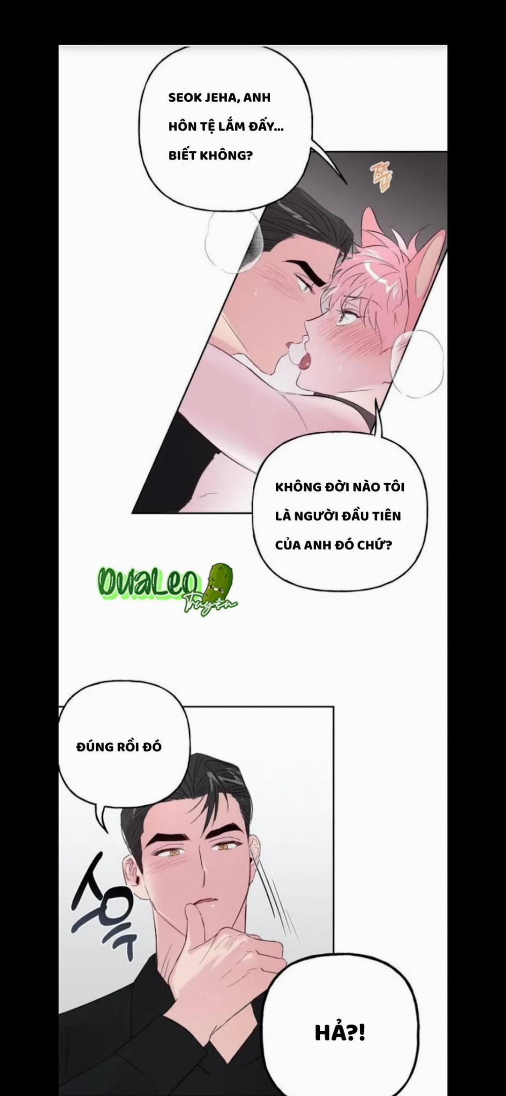 Assorted Wildness 25 trang 14