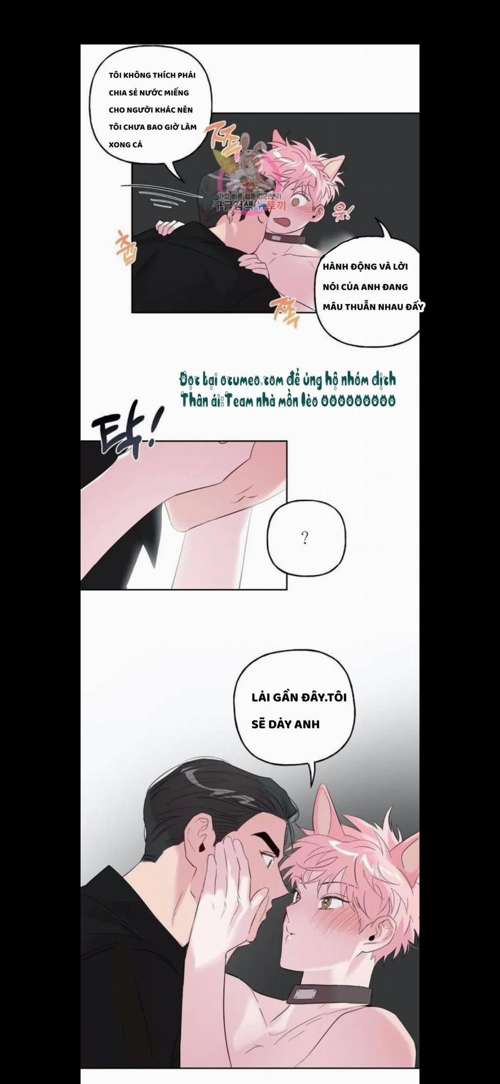 Assorted Wildness 25 trang 15