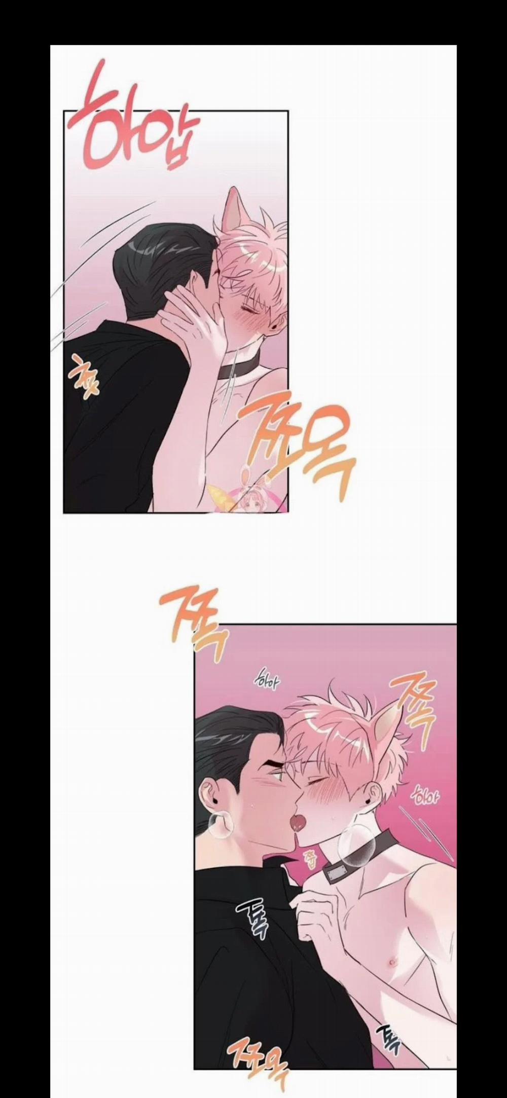 Assorted Wildness 25 trang 16