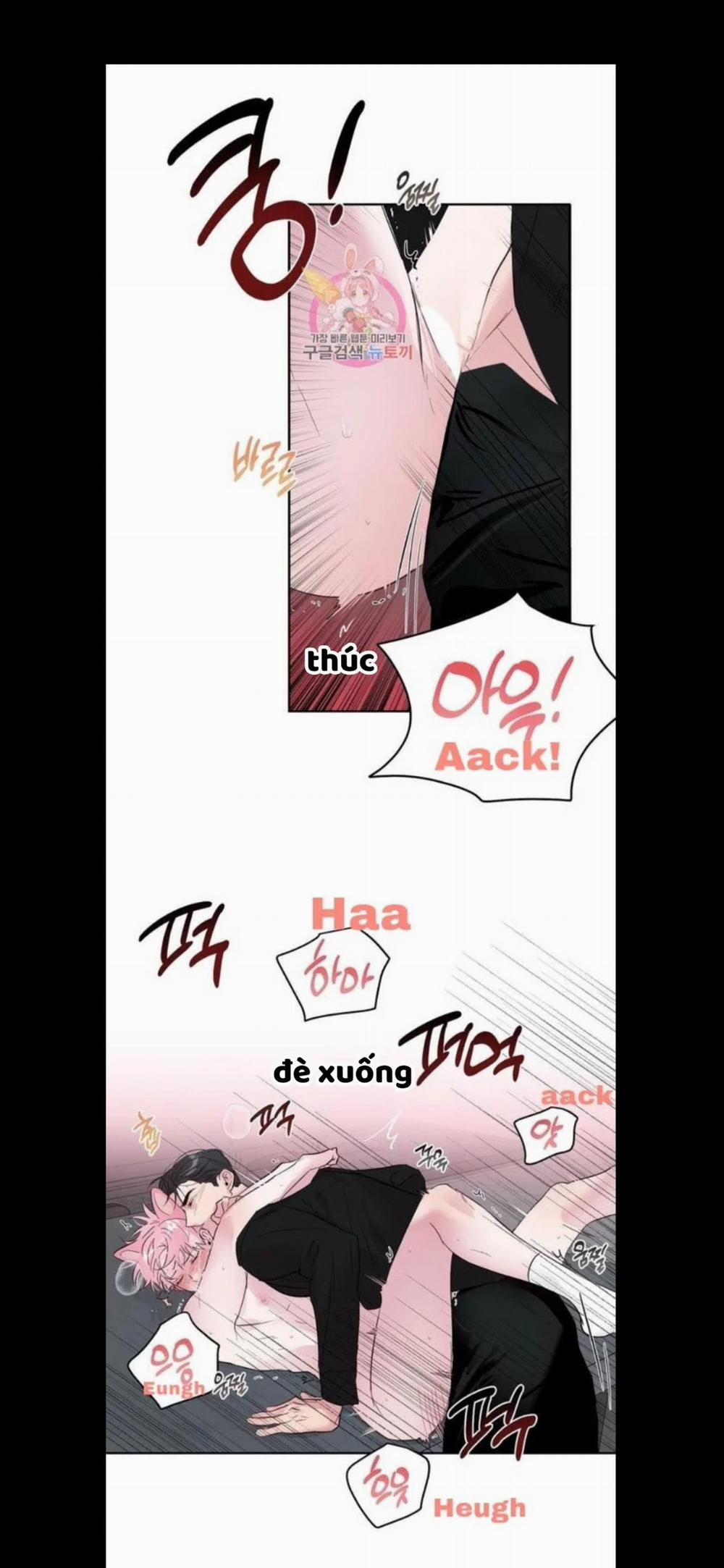 Assorted Wildness 25 trang 18