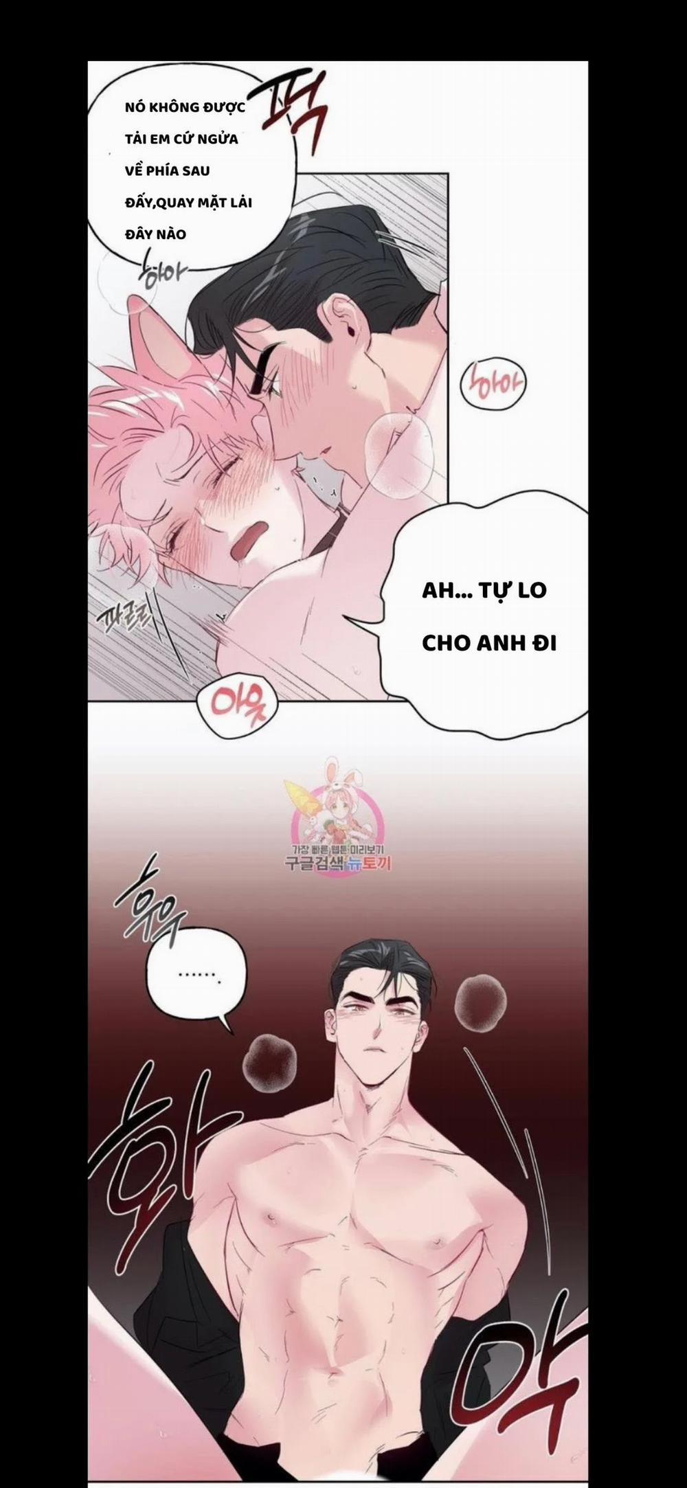 Assorted Wildness 25 trang 19