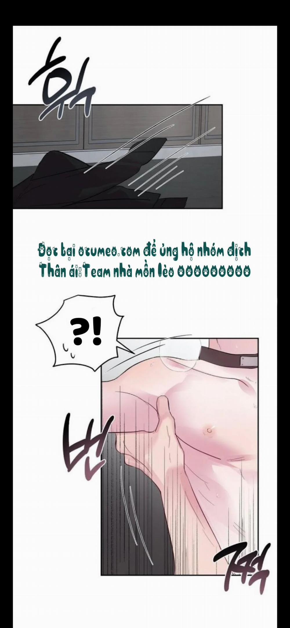 Assorted Wildness 25 trang 20