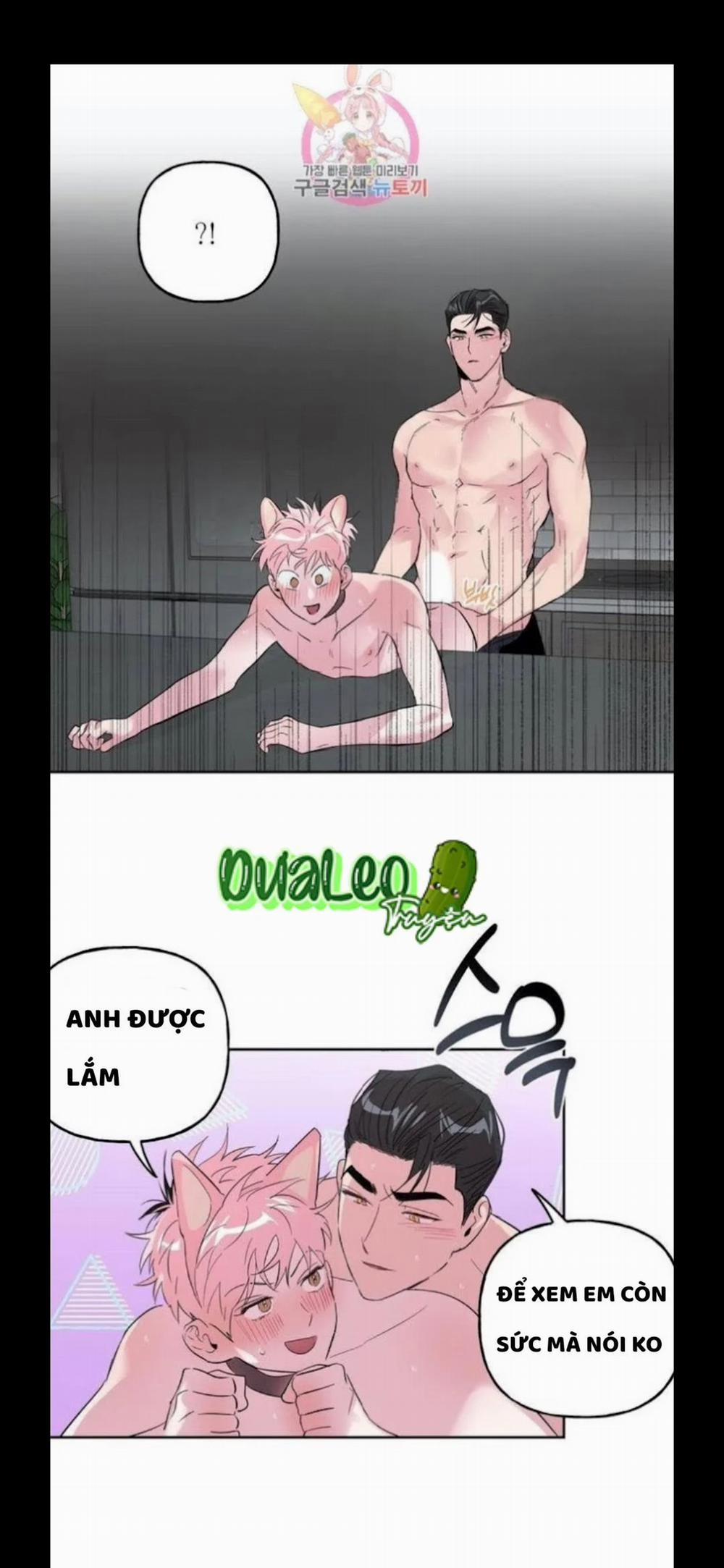 Assorted Wildness 25 trang 21