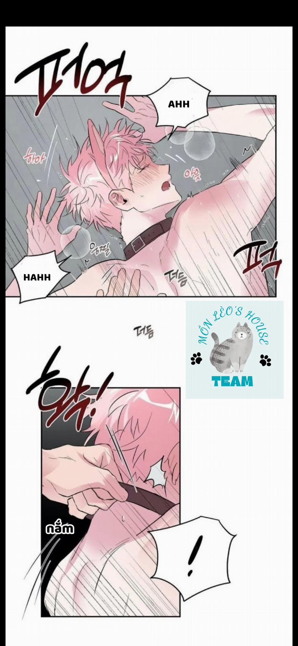 Assorted Wildness 25 trang 23