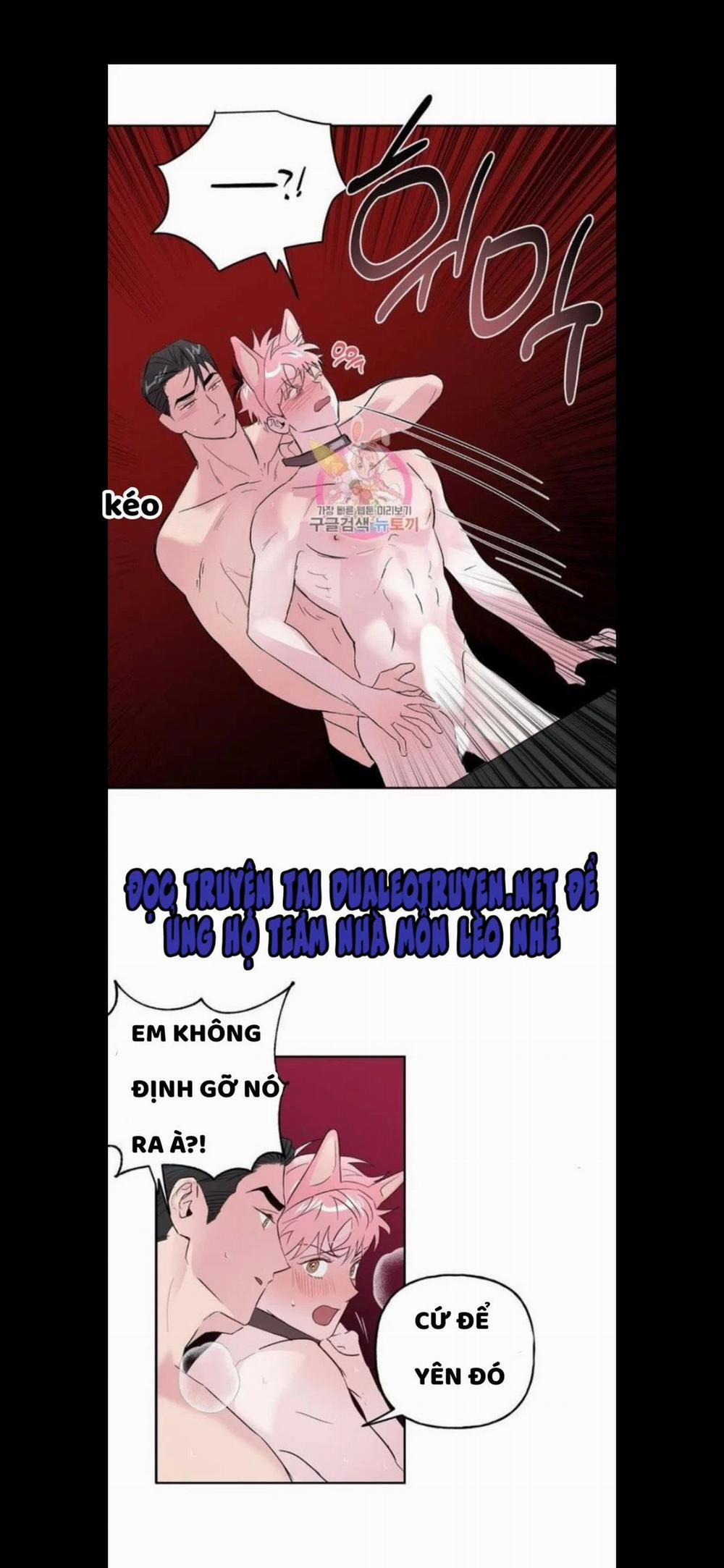 Assorted Wildness 25 trang 24