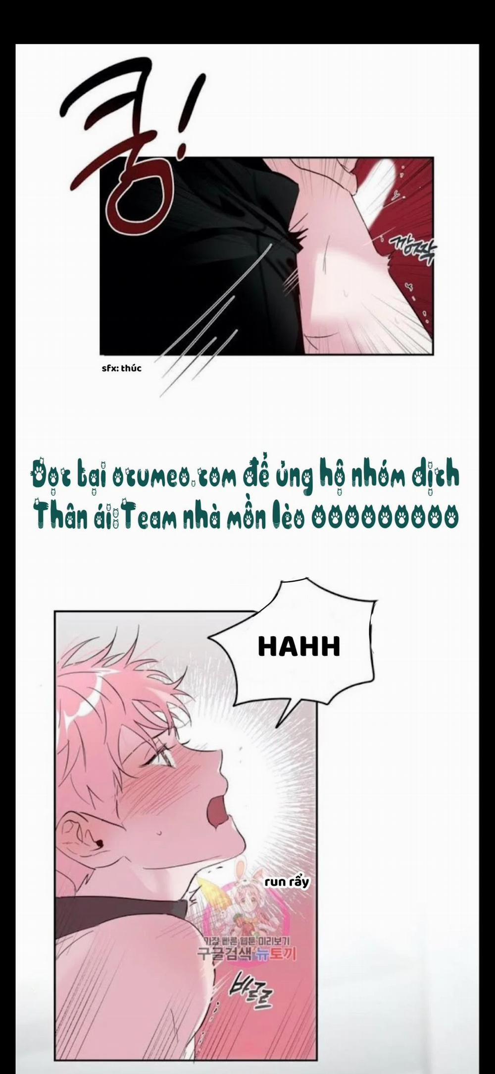 Assorted Wildness 25 trang 25