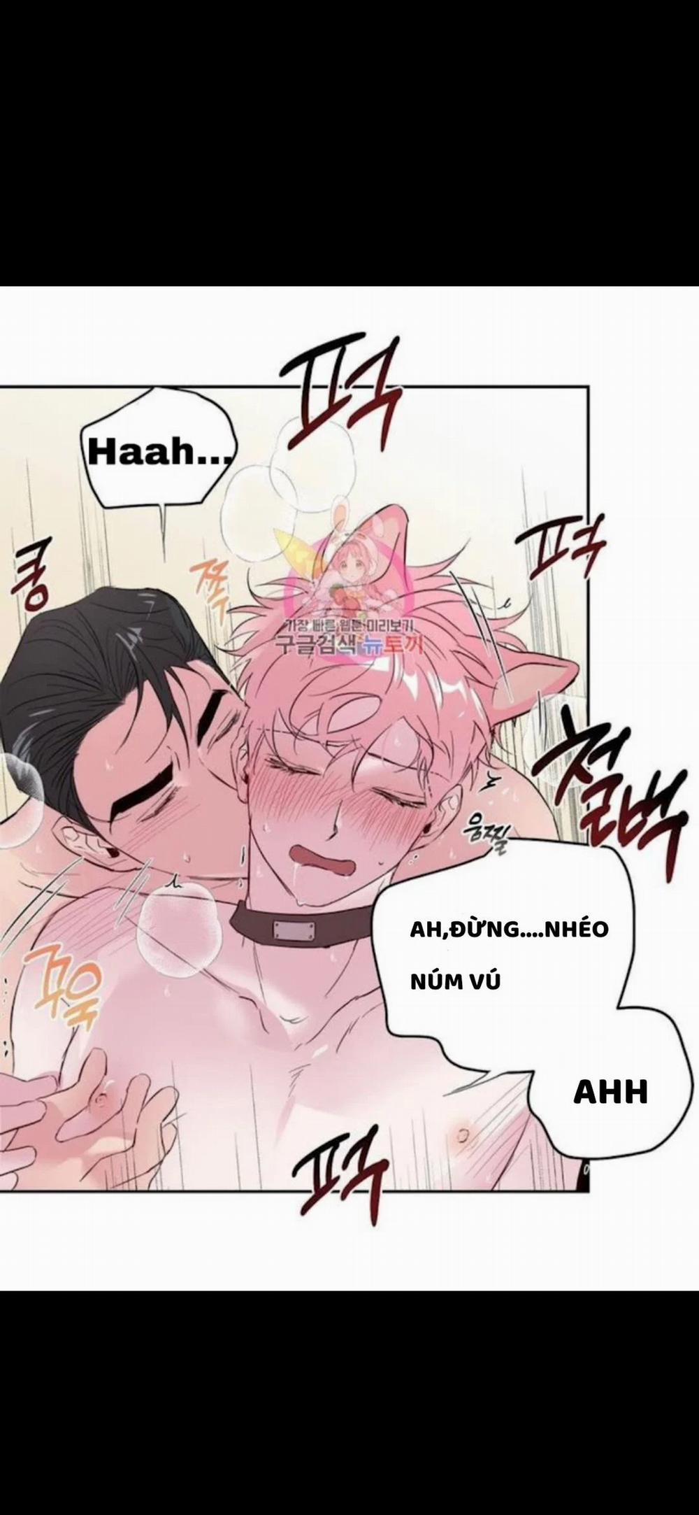 Assorted Wildness 25 trang 27