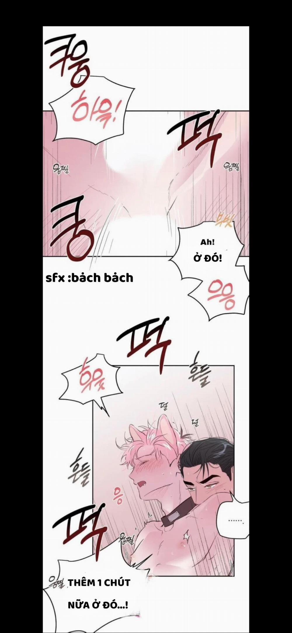 Assorted Wildness 25 trang 28