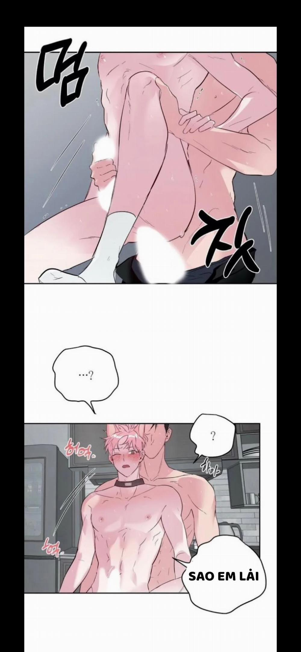 Assorted Wildness 25 trang 29