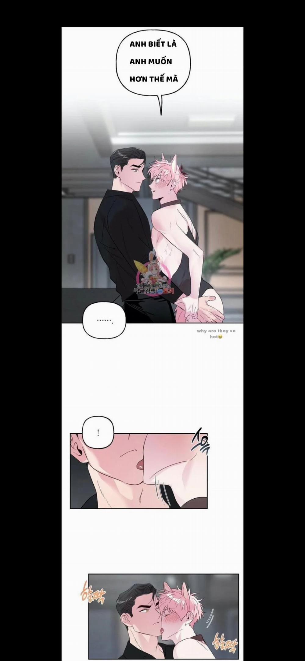 Assorted Wildness 25 trang 3