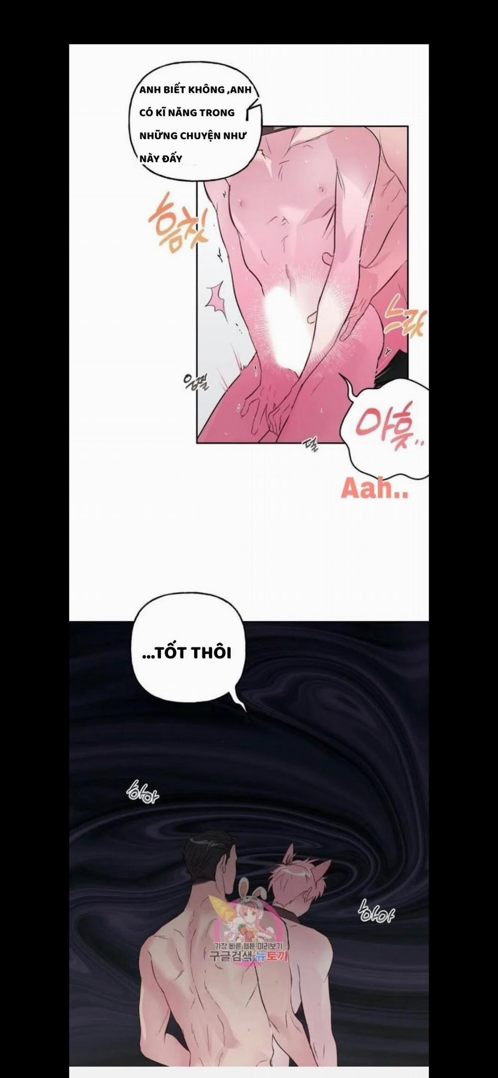 Assorted Wildness 25 trang 31