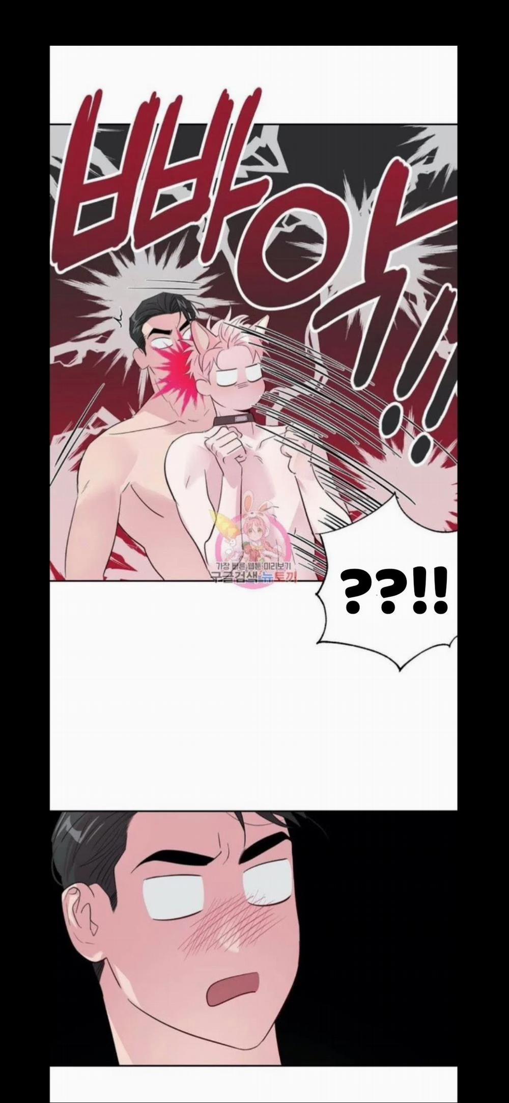 Assorted Wildness 25 trang 33