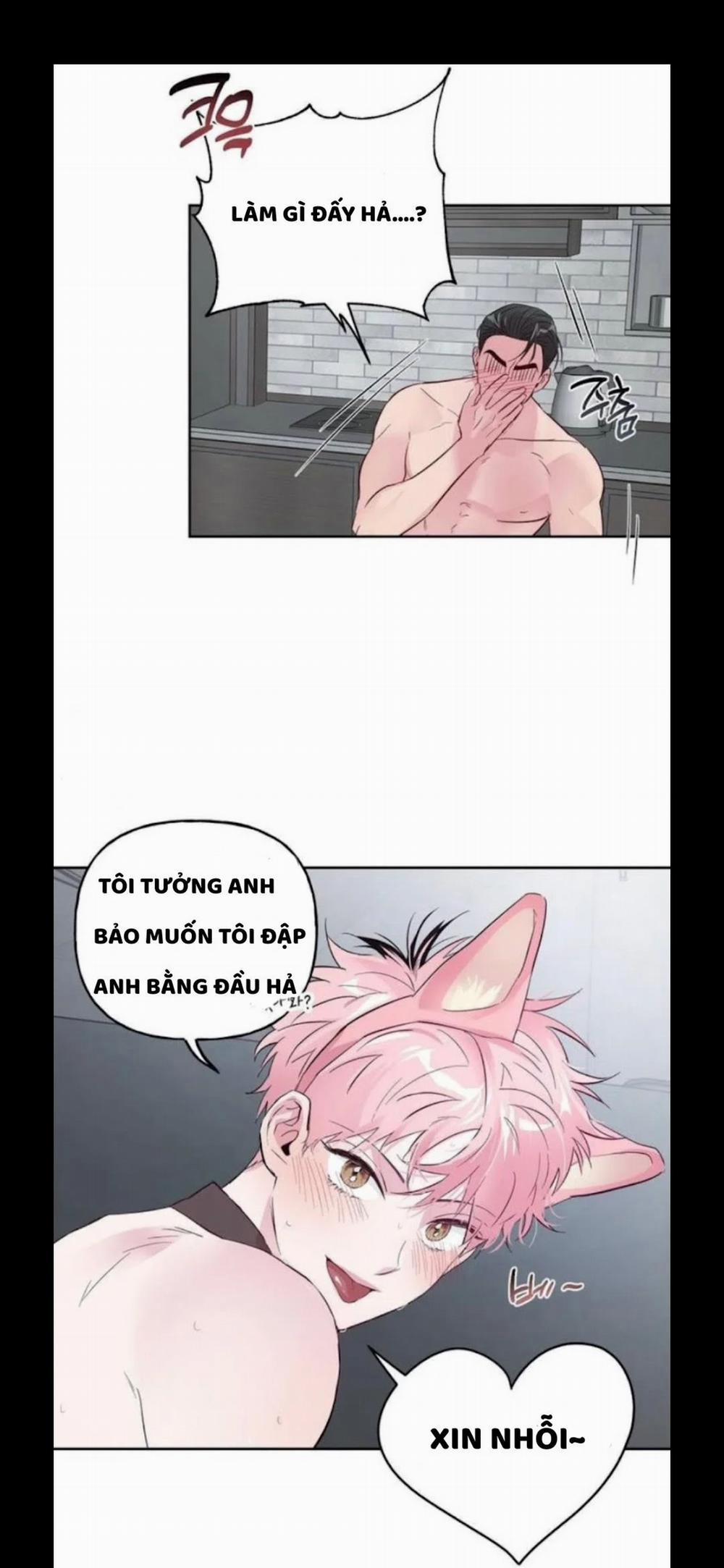 Assorted Wildness 25 trang 34