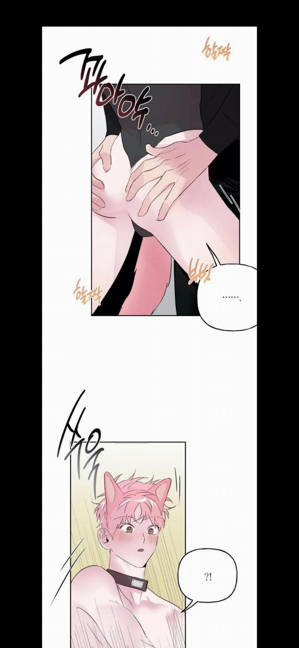 Assorted Wildness 25 trang 4